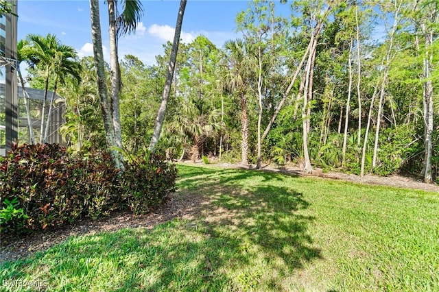 2338 Butterfly Palm Dr, Naples, FL 34119 - photo 40
