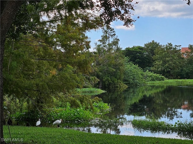 9055 Colby Dr Unit 2218, Fort Myers, FL 33919 - photo 44