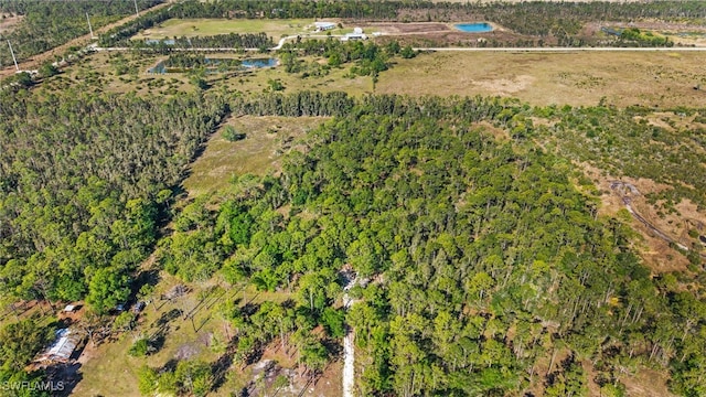 15841 Rasmussen Rd, Punta Gorda, FL 33982 - photo 11