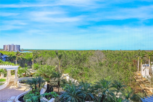 275 Indies Way Unit 605, Naples, FL 34110 - photo 32
