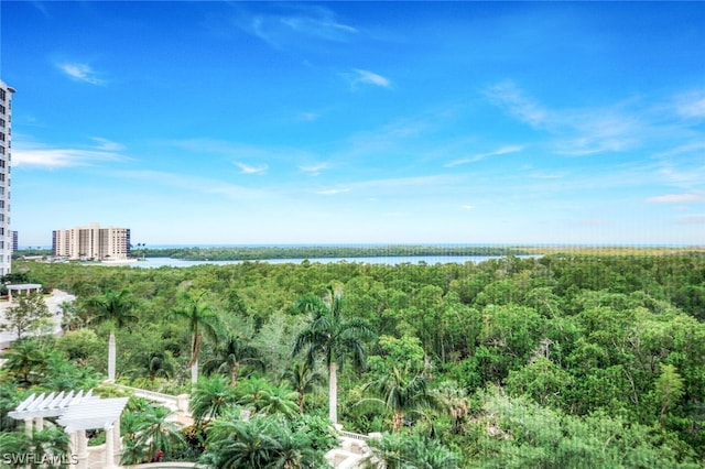 275 Indies Way Unit 605, Naples, FL 34110 - photo 28