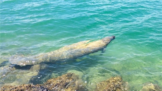 AccessUndetermined, Bokeelia, FL 33922 - photo 13