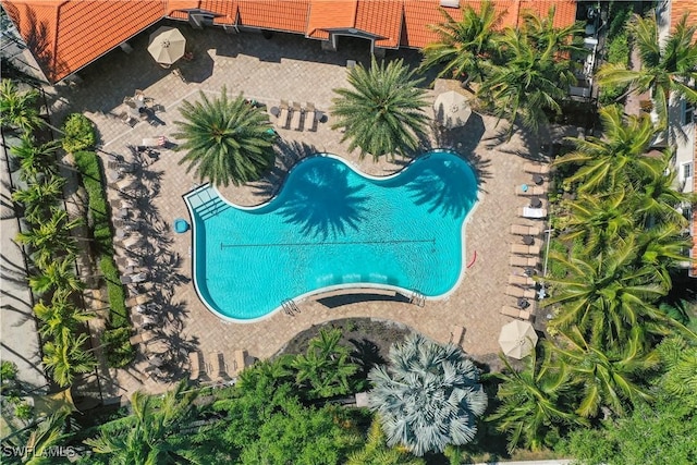 28054 Sosta Ln Unit 1, Bonita Springs, FL 34135 - photo 32