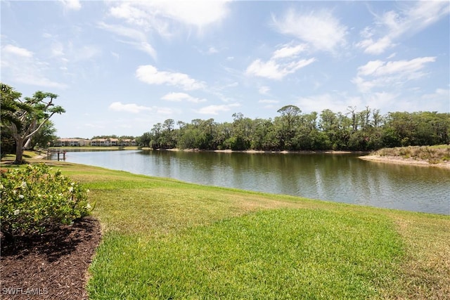 233 Monterey Dr, Naples, FL 34119 - photo 36