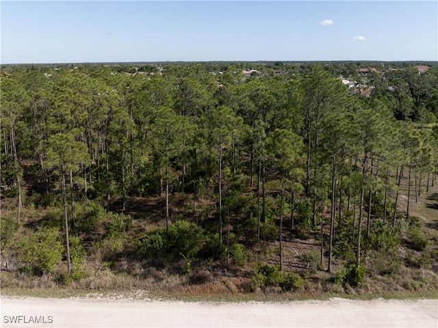 2303 Bayberry Ln, North Fort Myers, FL 33917 - photo 10