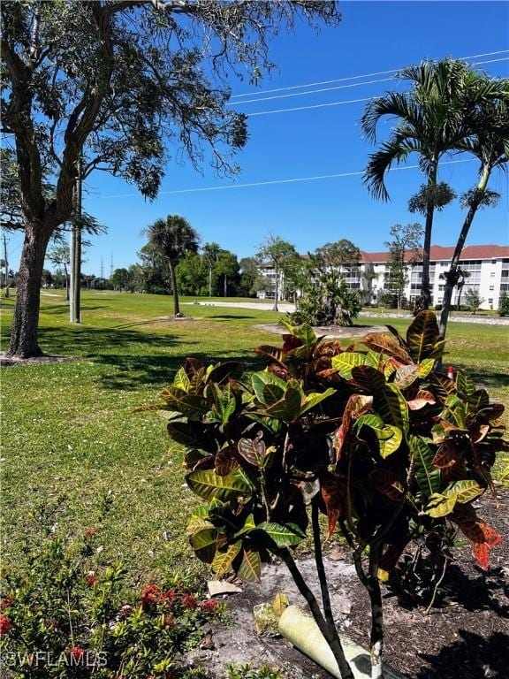 1057 Forest Lakes Dr Unit 1103, Naples, FL 34105 - photo 15