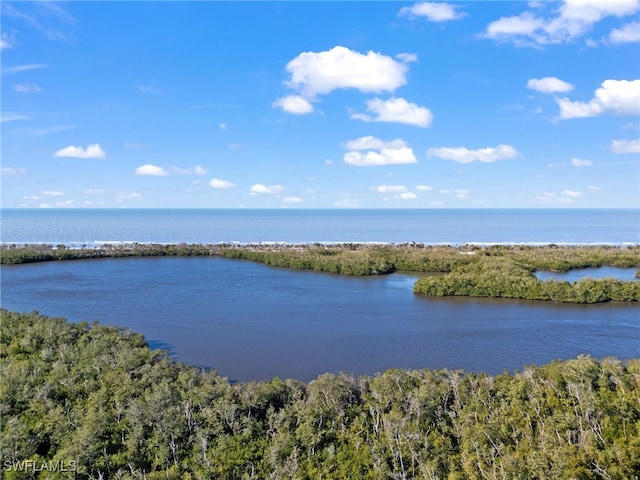 6849 Grenadier Blvd Unit 604, Naples, FL 34108 - photo 44