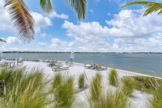 11902 Raggio Dr, Fort Myers, FL 33913 - photo 41