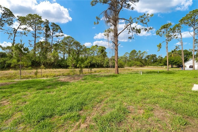 708 Lamar St E, Lehigh Acres, FL 33974 - photo 5