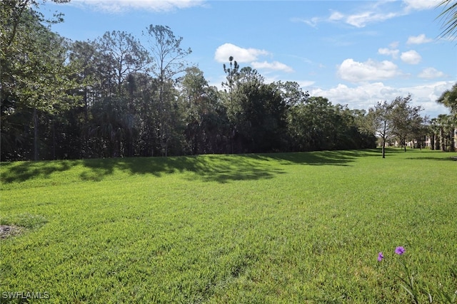 9516 Ironstone Ter Unit 4-101, Naples, FL 34120 - photo 28