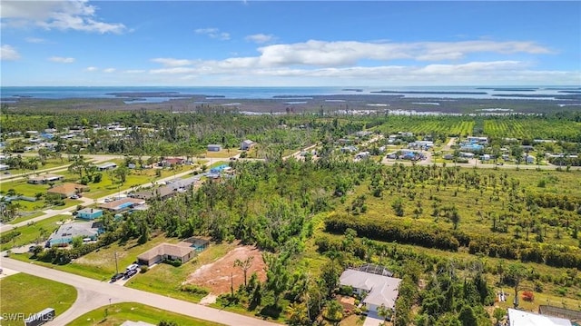 5643 Ann Arbor Dr, Bokeelia, FL 33922 - photo 31