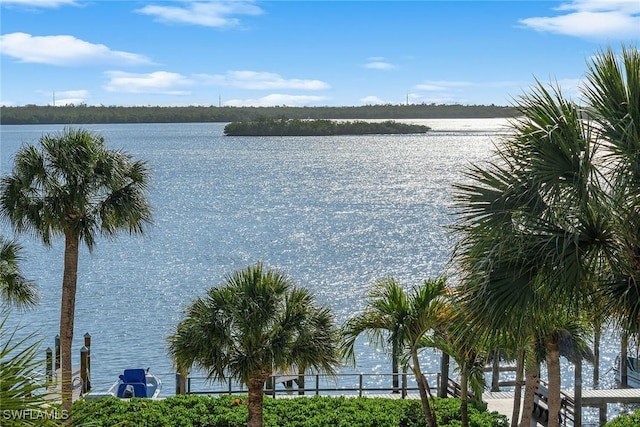 1085 Bald Eagle Dr Unit E409, Marco Island, FL 34145 - photo 1