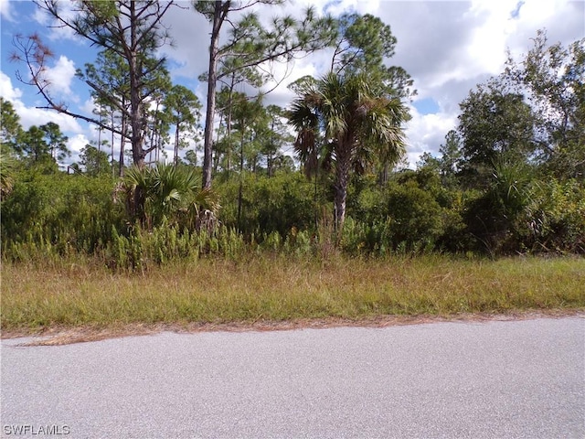 442 Lackland St, Port Charlotte, FL 33953 - photo 1