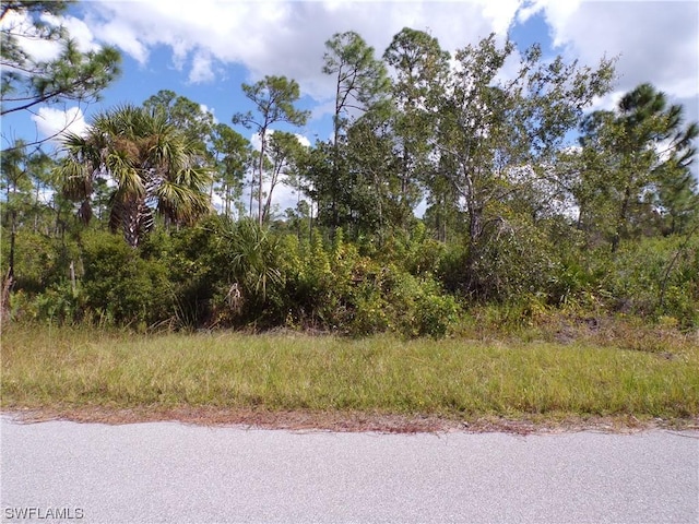 442 Lackland St, Port Charlotte, FL 33953 - photo 5