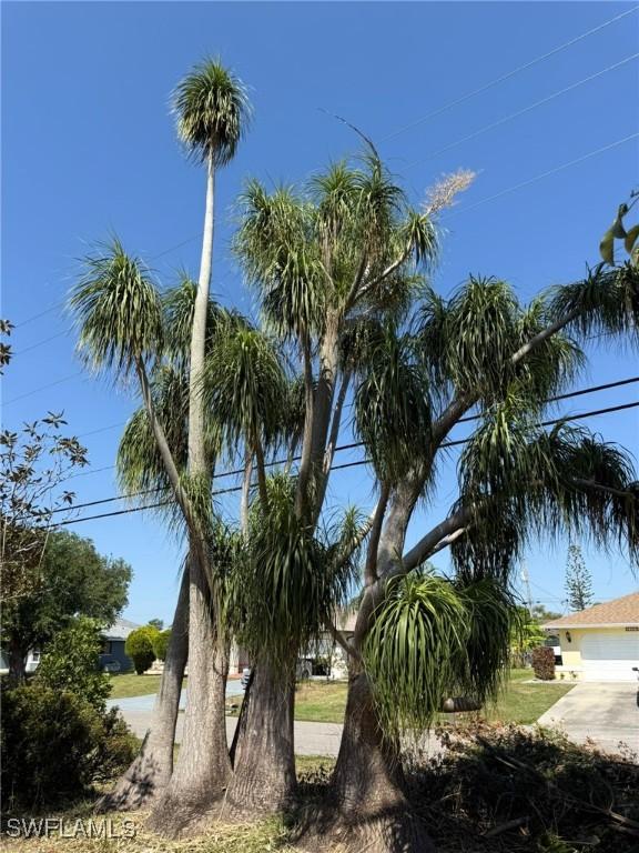 1448 SE 22nd St, Cape Coral, FL 33990 - photo 2