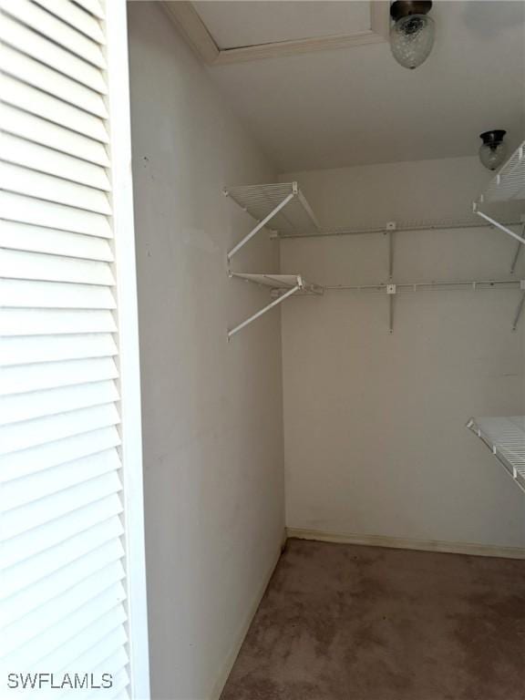 1448 SE 22nd St, Cape Coral, FL 33990 - photo 34