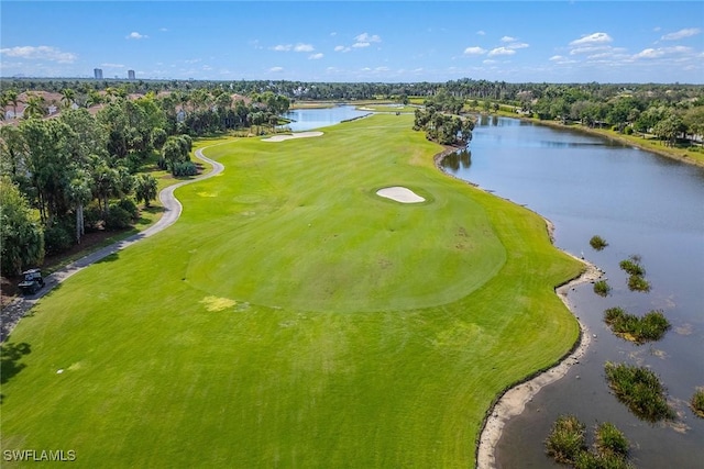 9106 Cascada Way Unit 202, Naples, FL 34114 - photo 45