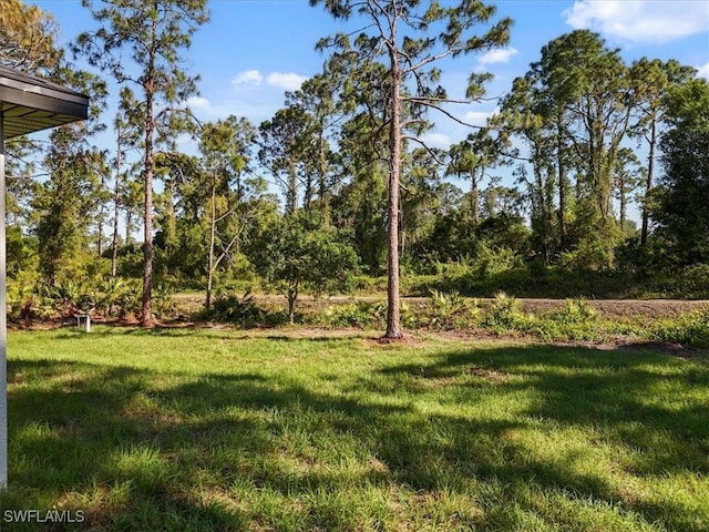 820 Ashland St E, Lehigh Acres, FL 33974 - photo 32