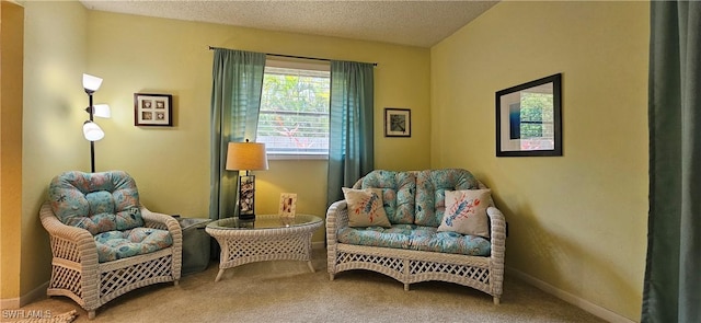 237 SW 48th Ter, Cape Coral, FL 33914 - photo 33