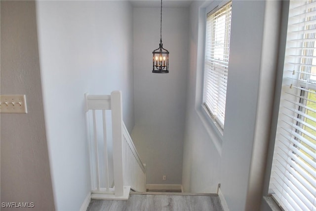 2818 NW 7th Ter, Cape Coral, FL 33993 - photo 14