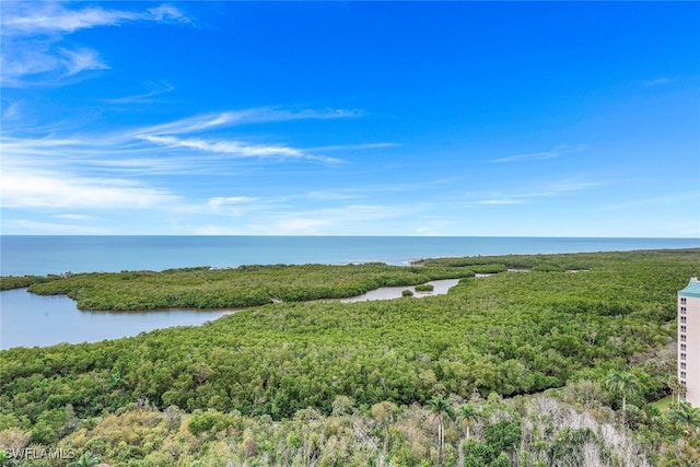 5601 Turtle Bay Dr Unit 2002, Naples, FL 34108 - photo 28