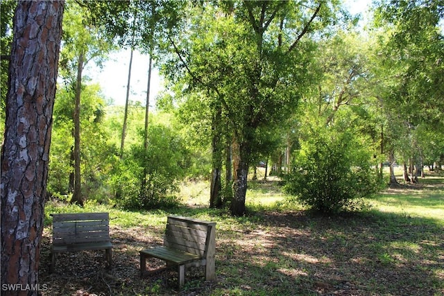 6285 Parkers Hammock Rd Unit B, Naples, FL 34112 - photo 35