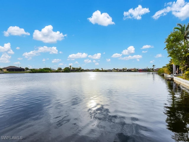 212 SW 29th Ave, Cape Coral, FL 33991 - photo 35