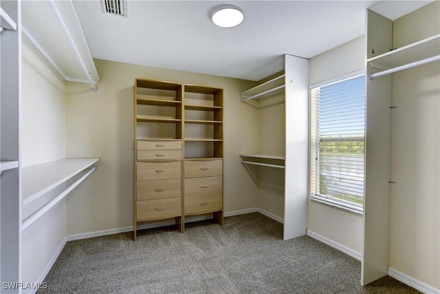 14047 Danpark Loop, Fort Myers, FL 33912 - photo 25