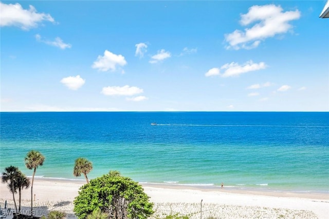2901 Gulf Shore Blvd N Unit 601S, Naples, FL 34103 - photo 3