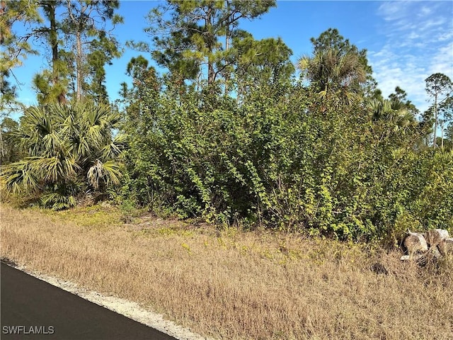 745 Oro Ave S, Lehigh Acres, FL 33974 - photo 2