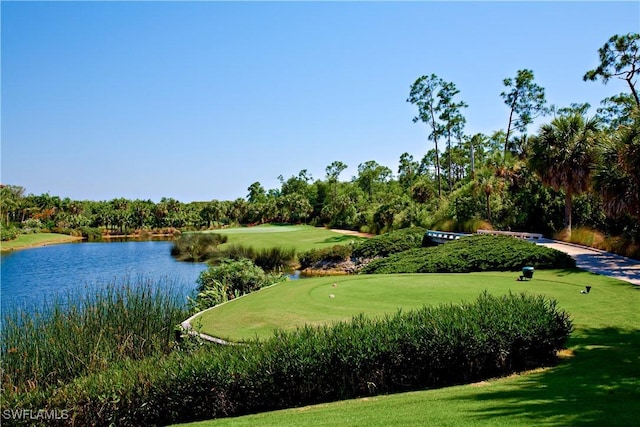 2306 Tradition Way Unit 101, Naples, FL 34105 - photo 39