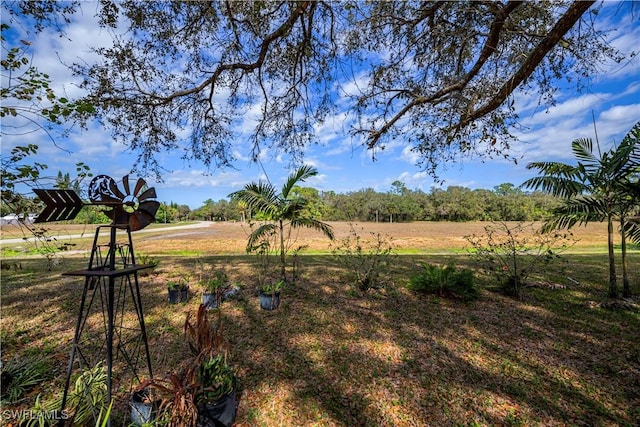 4001 E Sunflower Cir, Labelle, FL 33935 - photo 35