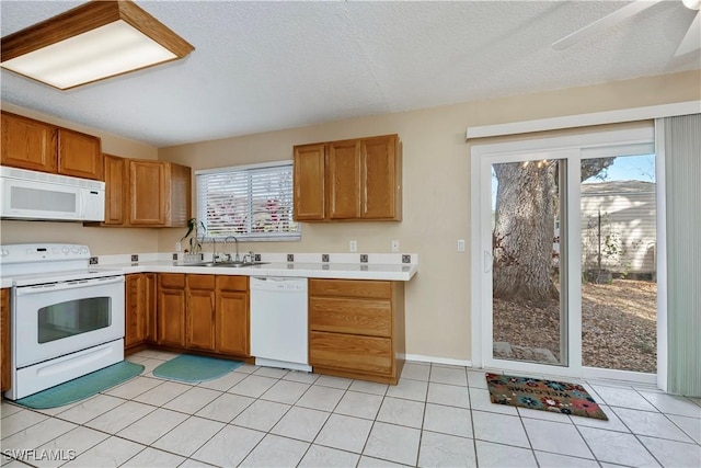 4001 E Sunflower Cir, Labelle, FL 33935 - photo 15
