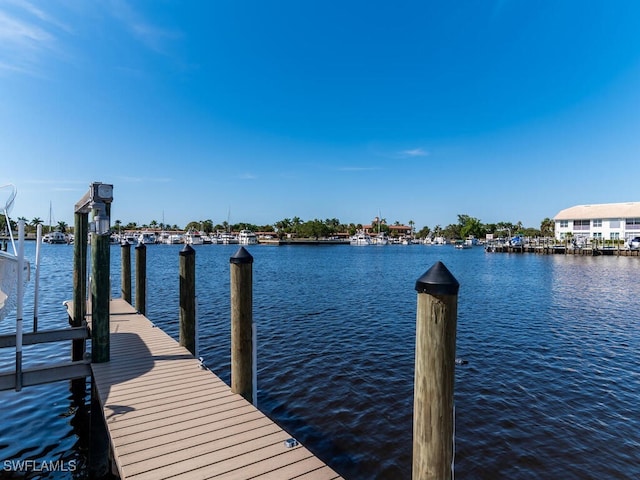 317 Stella Maris Dr S, Naples, FL 34114 - photo 30