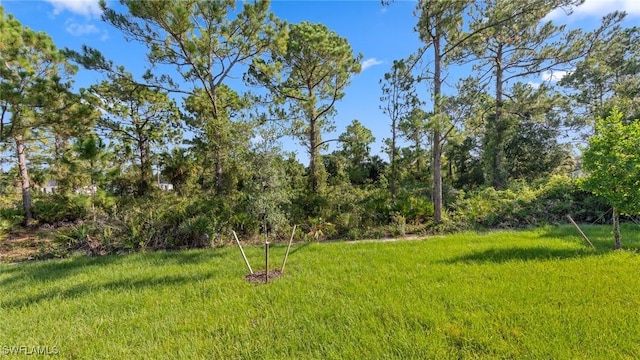 1039 Belmont St E, Lehigh Acres, FL 33974 - photo 30