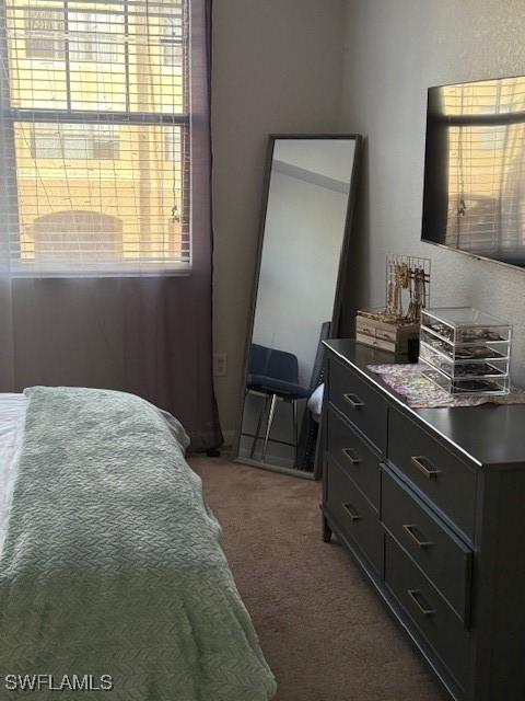 12936 Violino Ln Unit 203, Naples, FL 34105 - photo 12