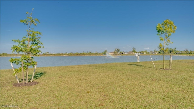879 Stonewater Lake Ter, Cape Coral, FL 33993 - photo 29