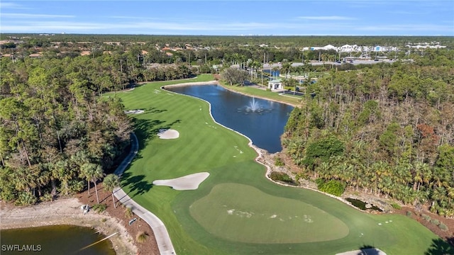 4010 Loblolly Bay Dr Unit 204, Naples, FL 34114 - photo 29
