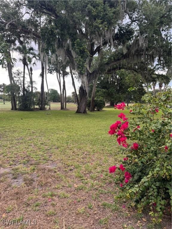 4 E Greens Cir, Lehigh Acres, FL 33936 - photo 12