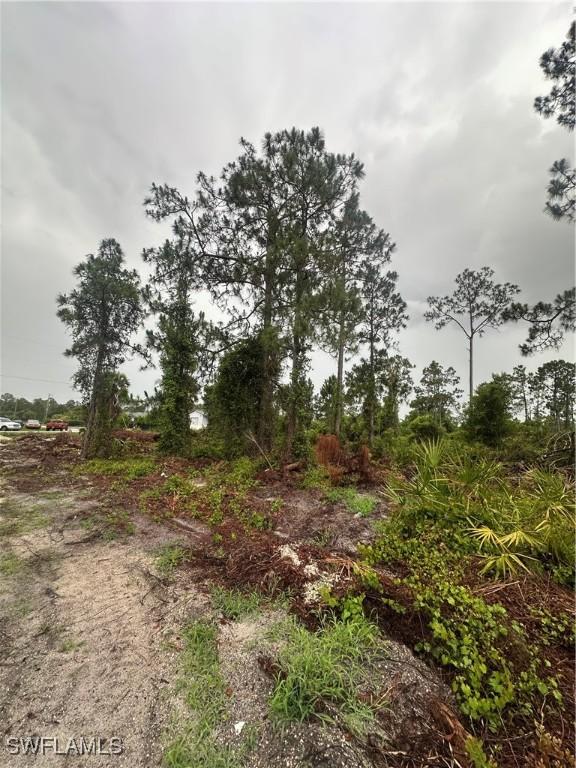 1206 Cordoba St E, Lehigh Acres, FL 33974 - photo 4