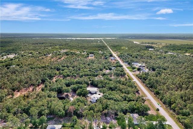 3366 72nd Ave NE, Naples, FL 34120 - photo 38