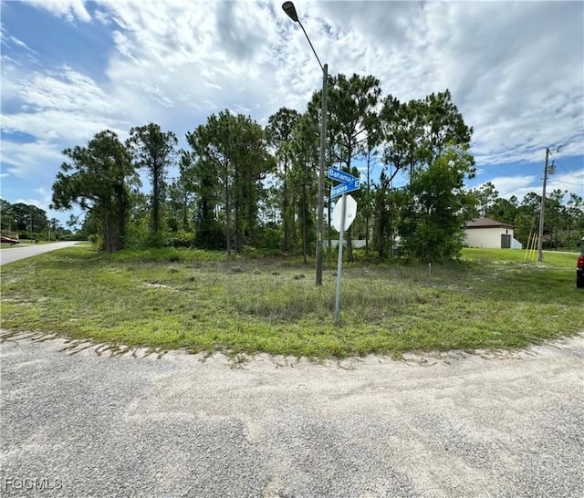 734 Bahama Ave S, Lehigh Acres, FL 33974 - photo 3