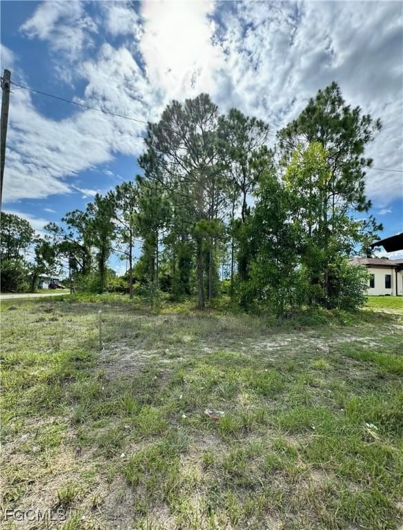 734 Bahama Ave S, Lehigh Acres, FL 33974 - photo 4