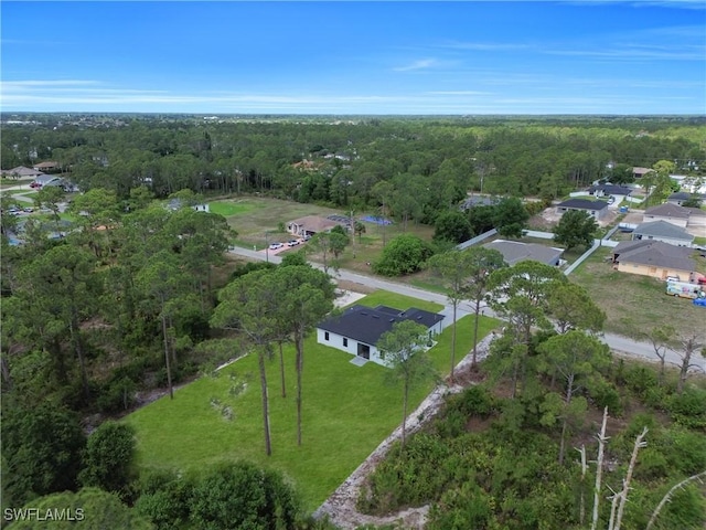 920 Palmetto Ave E, Lehigh Acres, FL 33972 - photo 35
