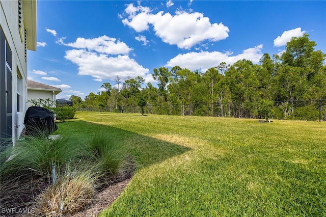 4193 Bluegrass Dr, Fort Myers, FL 33916 - photo 43