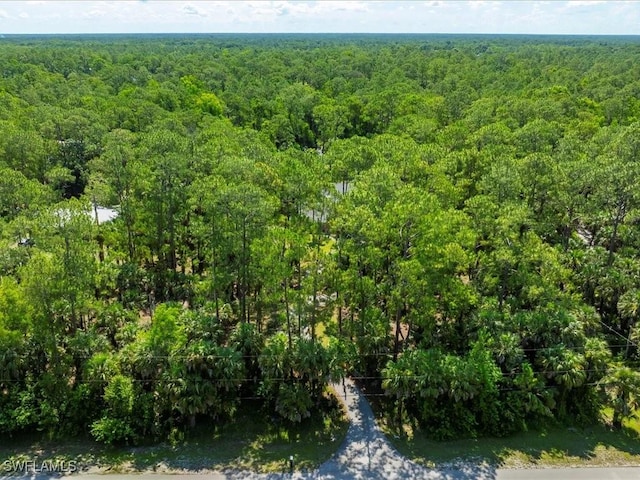330 Wilson Blvd S, Naples, FL 34117 - photo 35