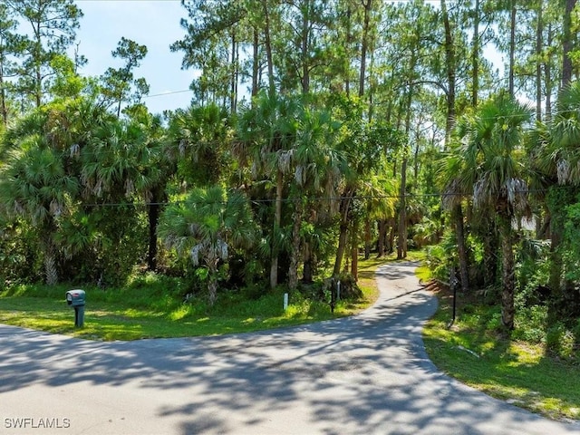 330 Wilson Blvd S, Naples, FL 34117 - photo 39
