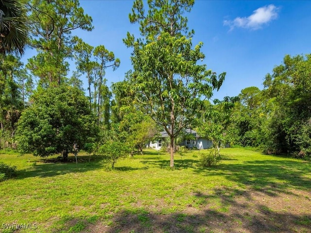 330 Wilson Blvd S, Naples, FL 34117 - photo 40
