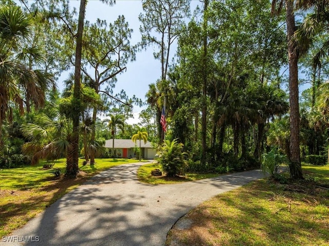 330 Wilson Blvd S, Naples, FL 34117 - photo 43