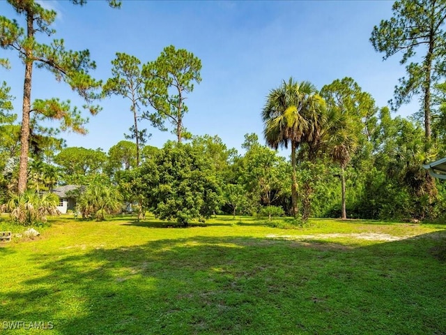 330 Wilson Blvd S, Naples, FL 34117 - photo 45